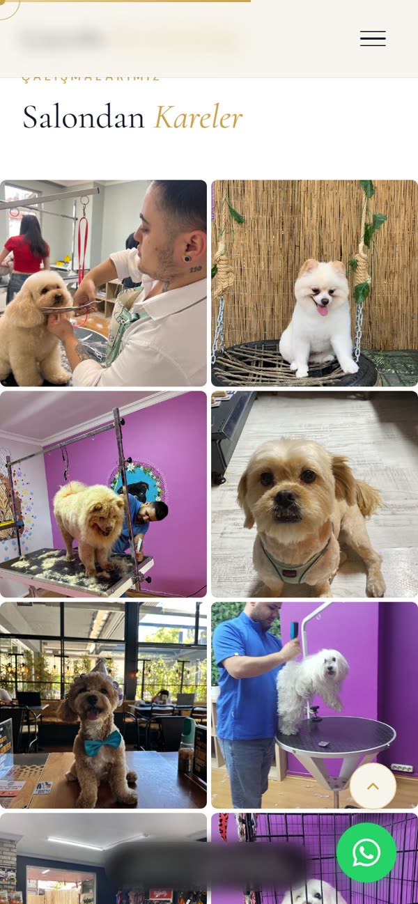 Pet kuaför taslağı / Pet groomer concept