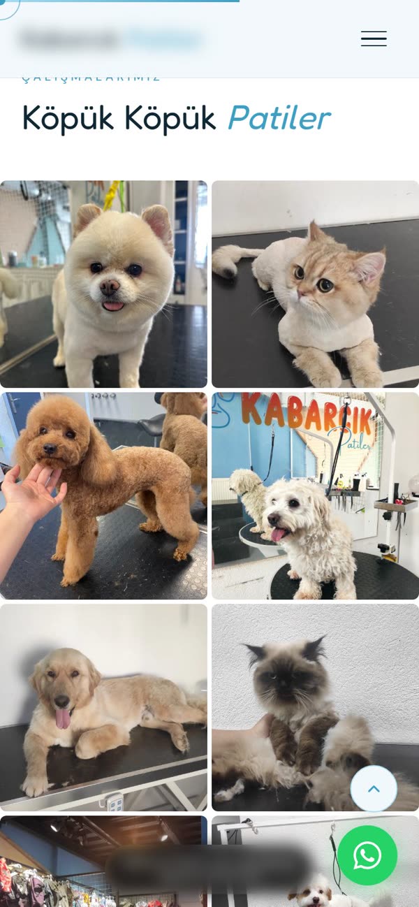 Pet kuaför taslağı / Pet groomer concept